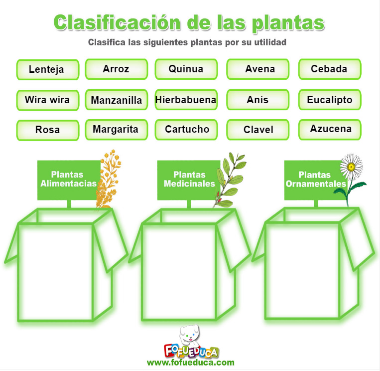 CLASIFICACIÓN DE LAS PLANTAS