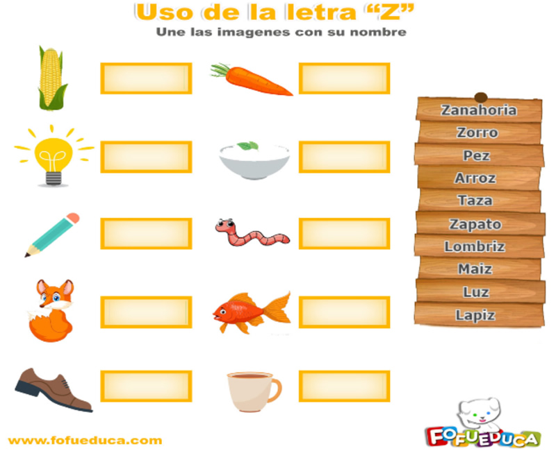 Uso de la letra Z
