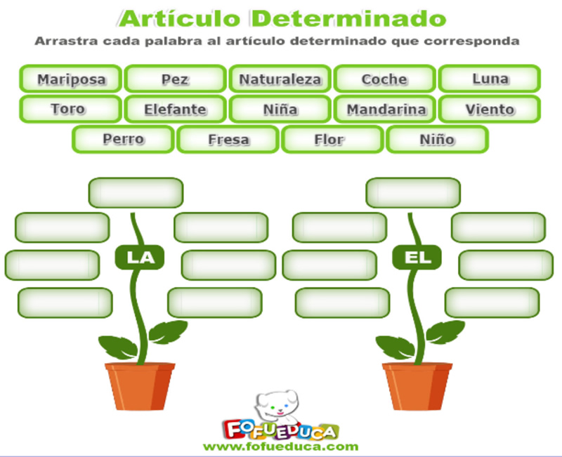 Artículo Determinado