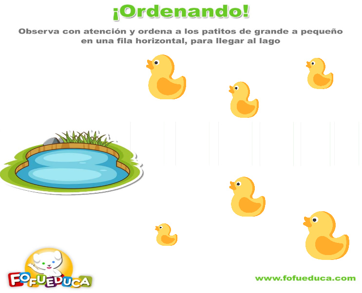 ¡ORDENANDO!