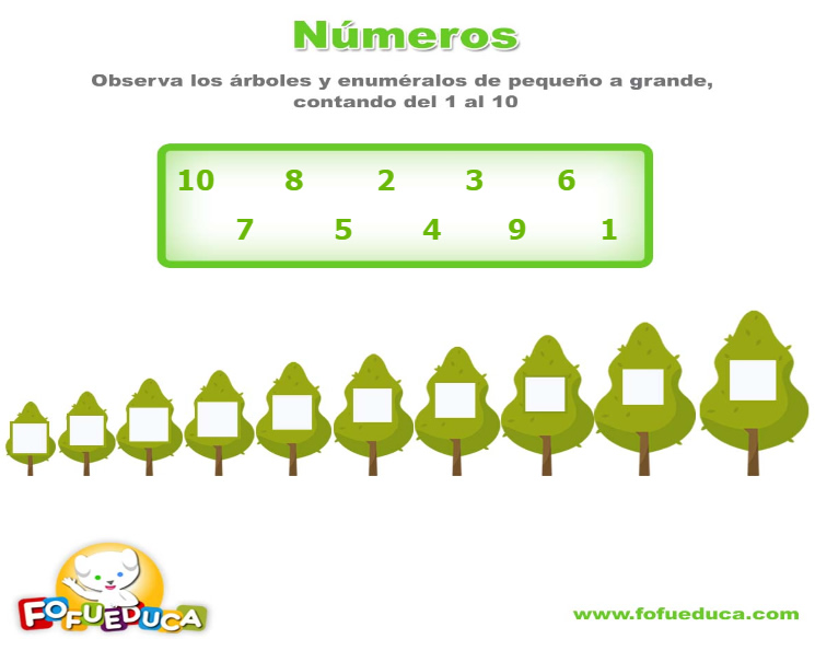 NÚMEROS