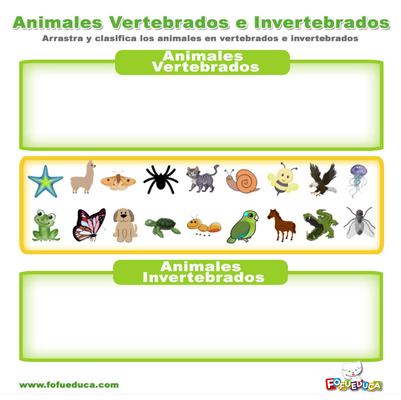 ANIMALES VERTEBRADOS E INVERTEBRADOS