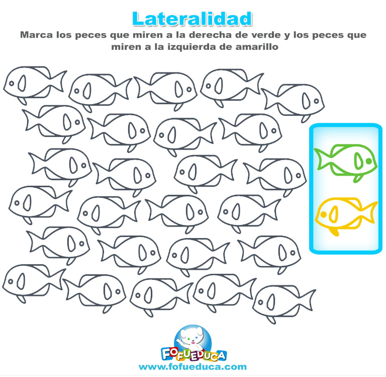 LATERALIDAD